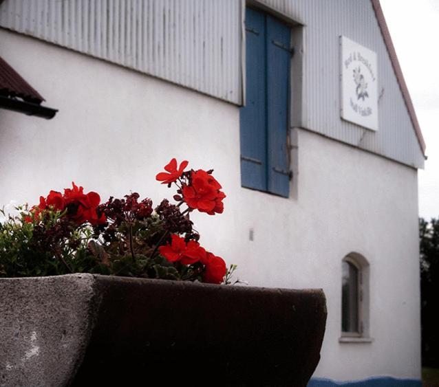 Bed & Breakfast Vinkille Loderup Exterior photo