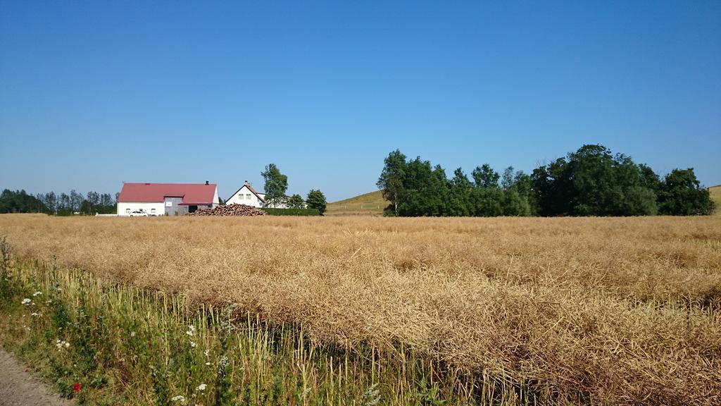 Bed & Breakfast Vinkille Loderup Exterior photo